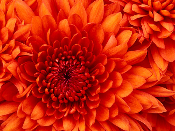NEW TEST5