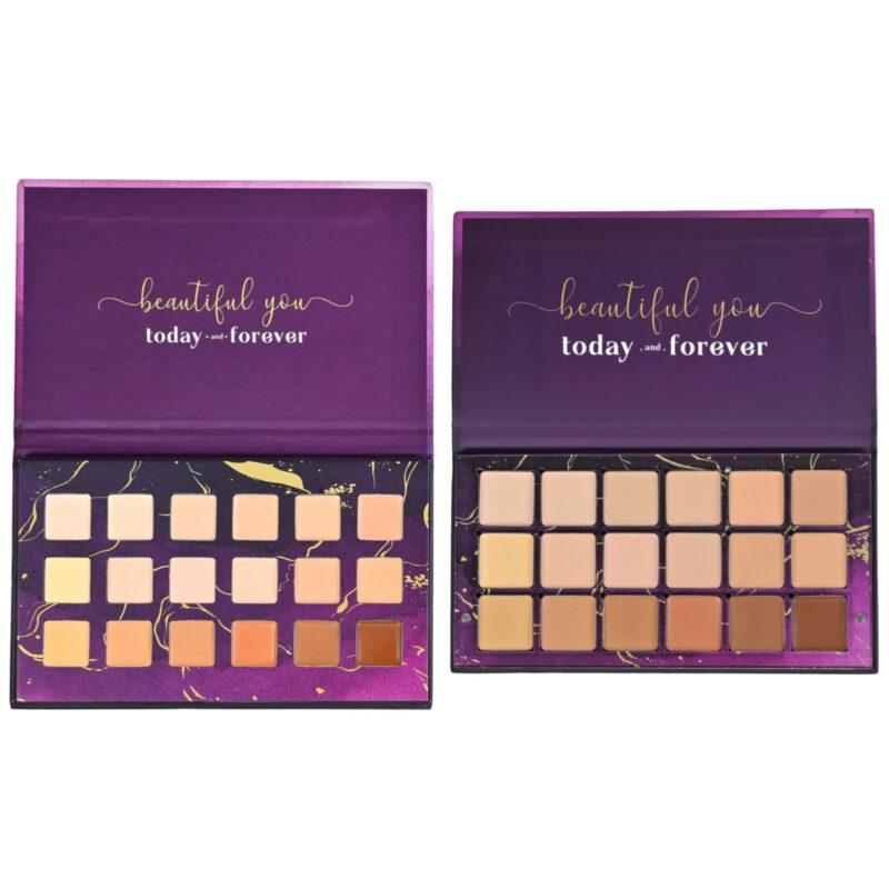 Aflarza The Flawless Edit Conceal & Correct Palette